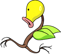 Chtiflor